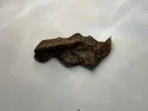 [Ouddict.com] Oud of the Day