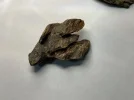 [Ouddict.com] Oud of the Day