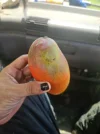 [Ouddict.com] Food