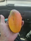 [Ouddict.com] Food