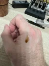 [Ouddict.com] Oud of the Day