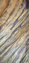 [Ouddict.com] Oud Wood