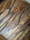 [Ouddict.com] Oud Wood