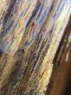 [Ouddict.com] Oud Wood