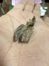 [Ouddict.com] Oud Photos