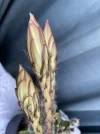 [Ouddict.com] Gardening