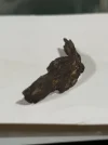 [Ouddict.com] Oud Photos
