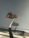 [Ouddict.com] Burn of the Day
