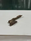 [Ouddict.com] Oud Photos