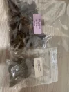 [Ouddict.com] The Anticipation Thread - Share Your 'inbound's!