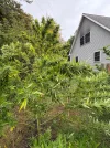 [Ouddict.com] Gardening