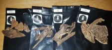 [Ouddict.com] Oud Photos