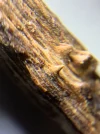 [Ouddict.com] Oud Wood