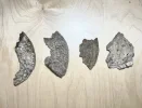 [Ouddict.com] Oud Photos