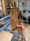 [Ouddict.com] Good ideas for the future of this forum anyone?