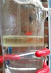 [Ouddict.com] MFH - Experiments & Materials