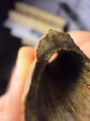 [Ouddict.com] Oud Photos