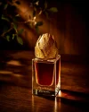[Ouddict.com] Perfume of the Day