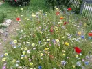 [Ouddict.com] Gardening