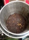[Ouddict.com] MFH - Experiments & Materials