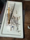 [Ouddict.com] Incense of the Day