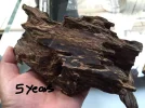 [Ouddict.com] Kyara/Kynam: IS IT REALLY OUD?