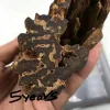 [Ouddict.com] Kyara/Kynam: IS IT REALLY OUD?