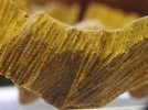 [Ouddict.com] Oud Wood