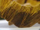 [Ouddict.com] Oud Wood