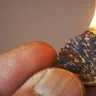 Chip Burns