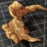 KodoKing