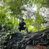 Nur Irfan