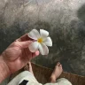 Jeh