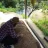 Faizal_p