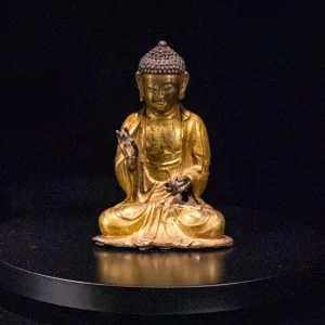 P1110768.png
