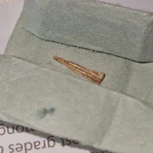 Treasure of Japan Kyara.jpg