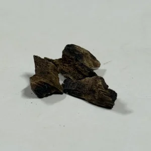 IMG_5064.jpeg
