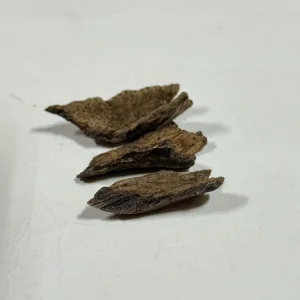 IMG_5094.jpeg