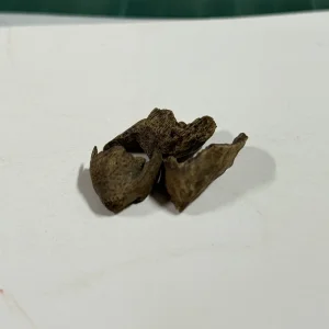 IMG_5777.jpeg