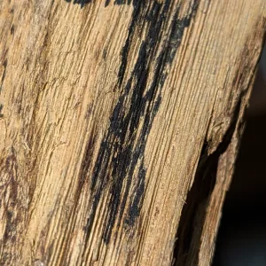 Screenshot_20260420-190018.webp